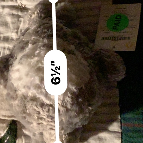 My Neighbor Totoro Plush Collectible - NwT & Rare - Picture 10 of 10